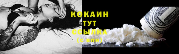прущие грибы Баксан