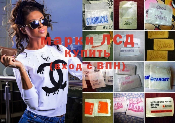 прущие грибы Баксан
