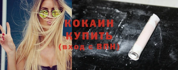 прущие грибы Баксан