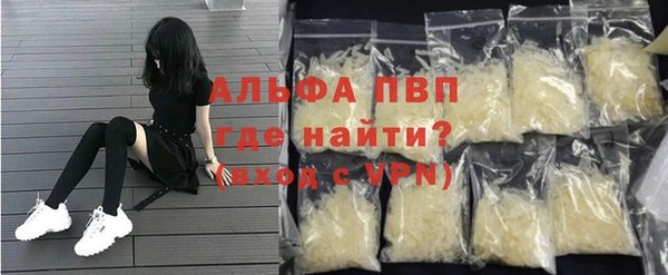 прущие грибы Баксан