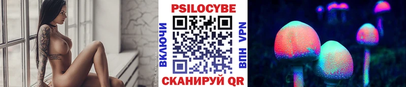 Псилоцибиновые грибы Psilocybe OMG ССЫЛКА Елизово